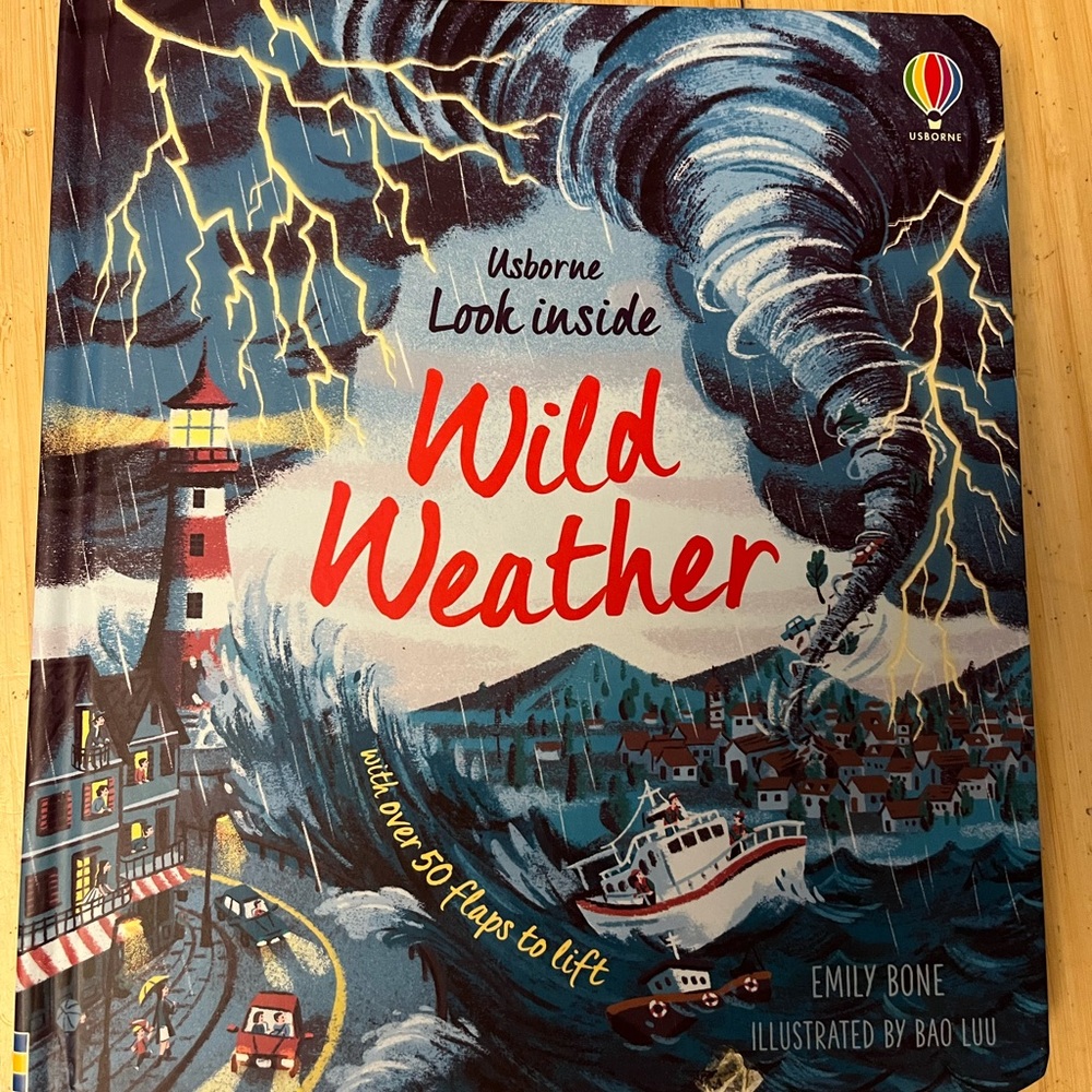 Usborne Look Inside Wild Weather